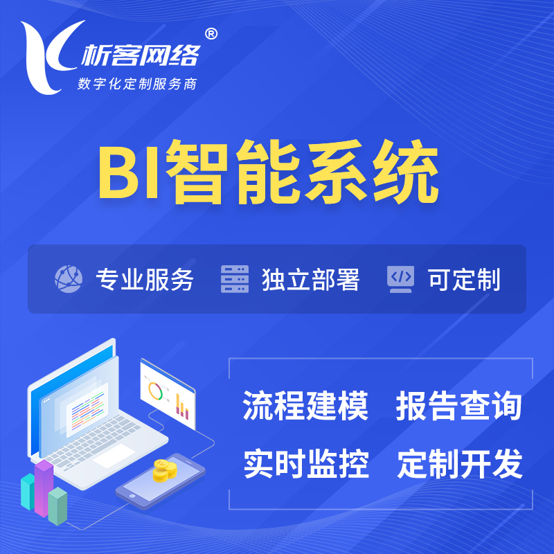 邯郸BI智能系统 | BI数据可视化